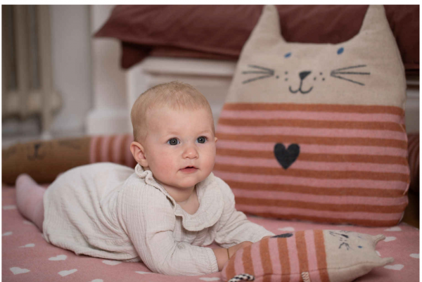 David Fussenegger Juwel gefülltes Kissen Katze