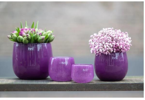 DutZ Pot Violet