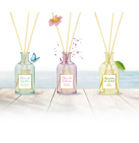 Collines de Provence Duftstäbchen 100ml Zitrusfrüchte des Südens Collines de Provence Duftstäbchen 100ml Zitrusfrüchte des Südens