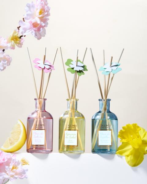 Collines de Provence Duftstäbchen 100ml Zitrusfrüchte des Südens Collines de Provence Duftstäbchen 100ml Zitrusfrüchte des Südens