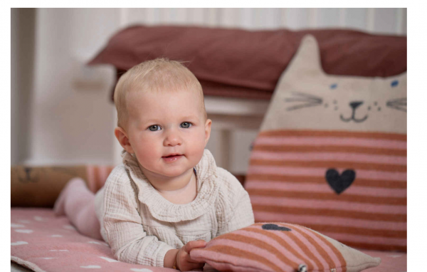 David Fussenegger Körnerkissen Katze