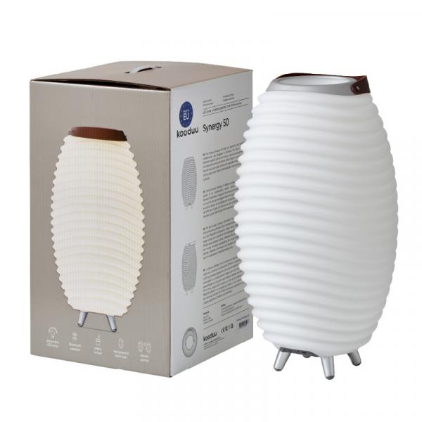 Kooduu Synergy 50 Stereo 2.0, Verpackung