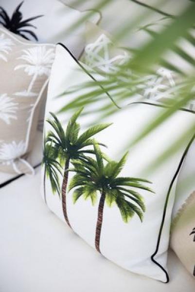 Paloma Living Bahama Palm 50x50, Mood, Palmenfeeling