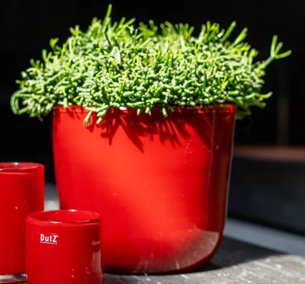 DutZ Vase Pot Wide red