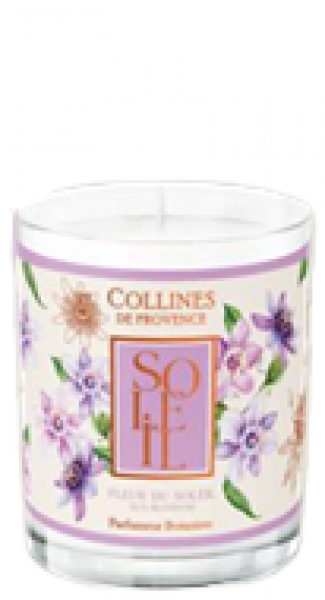 Collines de Provence Kerze Sonnenblume 180g