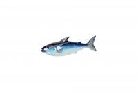 Gift Company Mignon Deko-Fisch Sardine